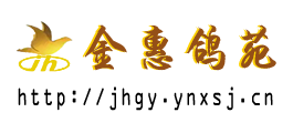 金惠鸽苑