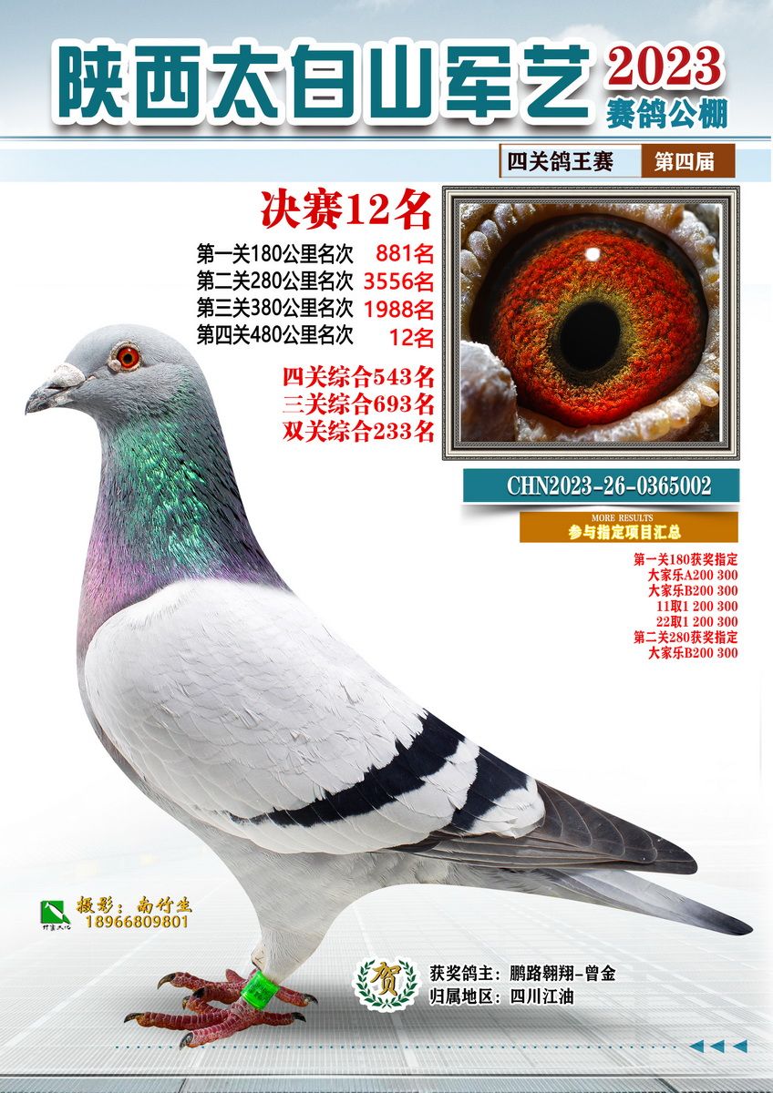 12名拍卖成交