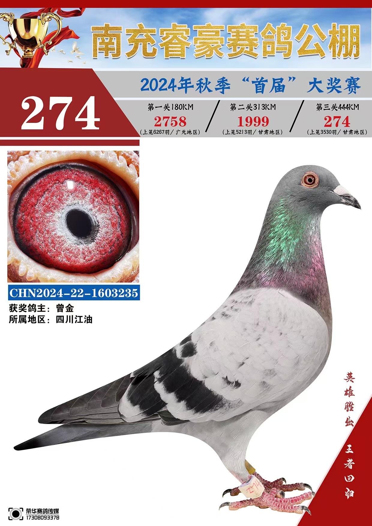 274名拍卖成交