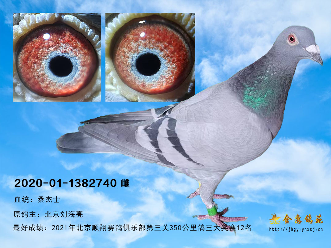 刘海亮桑杰士雌