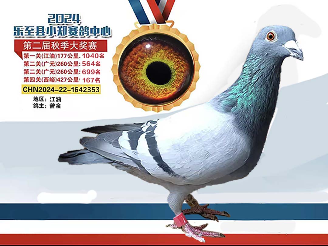 24小郑迟归雄