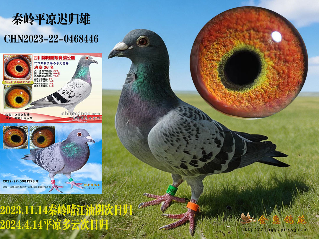 24平凉雄